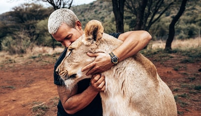 Calibre Article - Norqain joins the animal-cruelty pride - Lead.png image