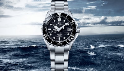 Day Two Round Up image cat image