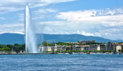 Geneva Article .png image