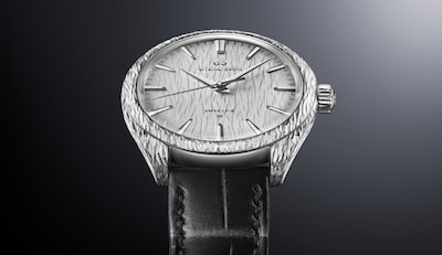 grand seiko spring drive first look image.png image