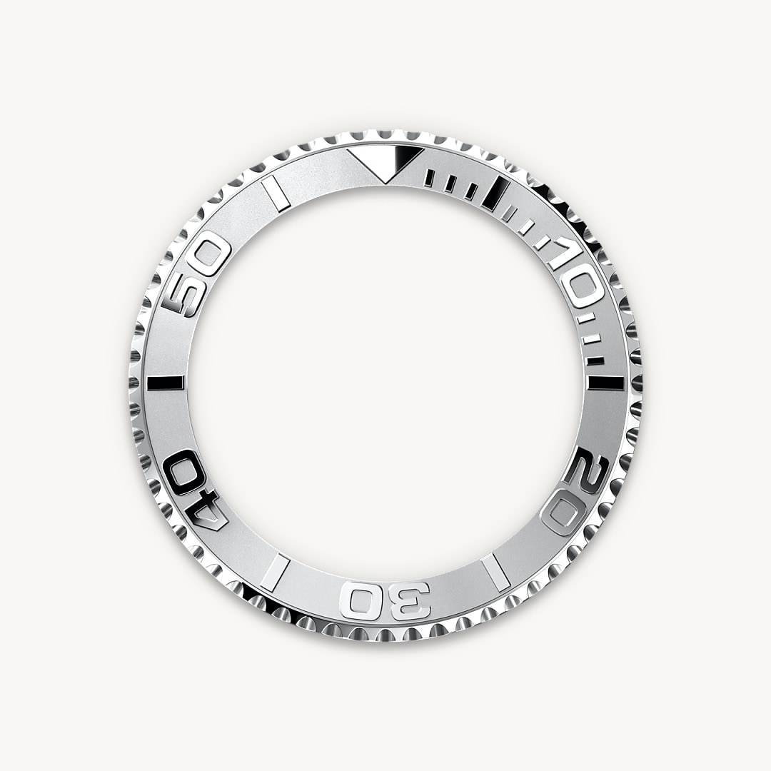 Bidirectional Rotatable Bezel