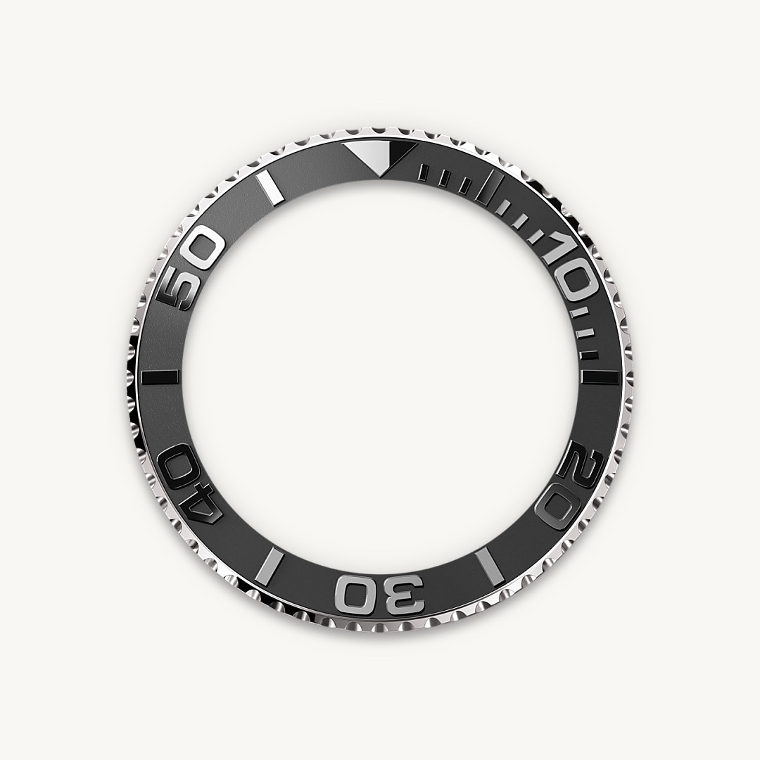 Bidirectional Rotatable Bezel