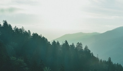 Sustainability.png image