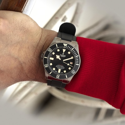 Tudor-Pelagos.jpg image