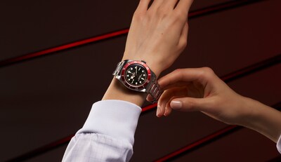 tudor black bay image