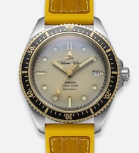 William Wood - Diver image